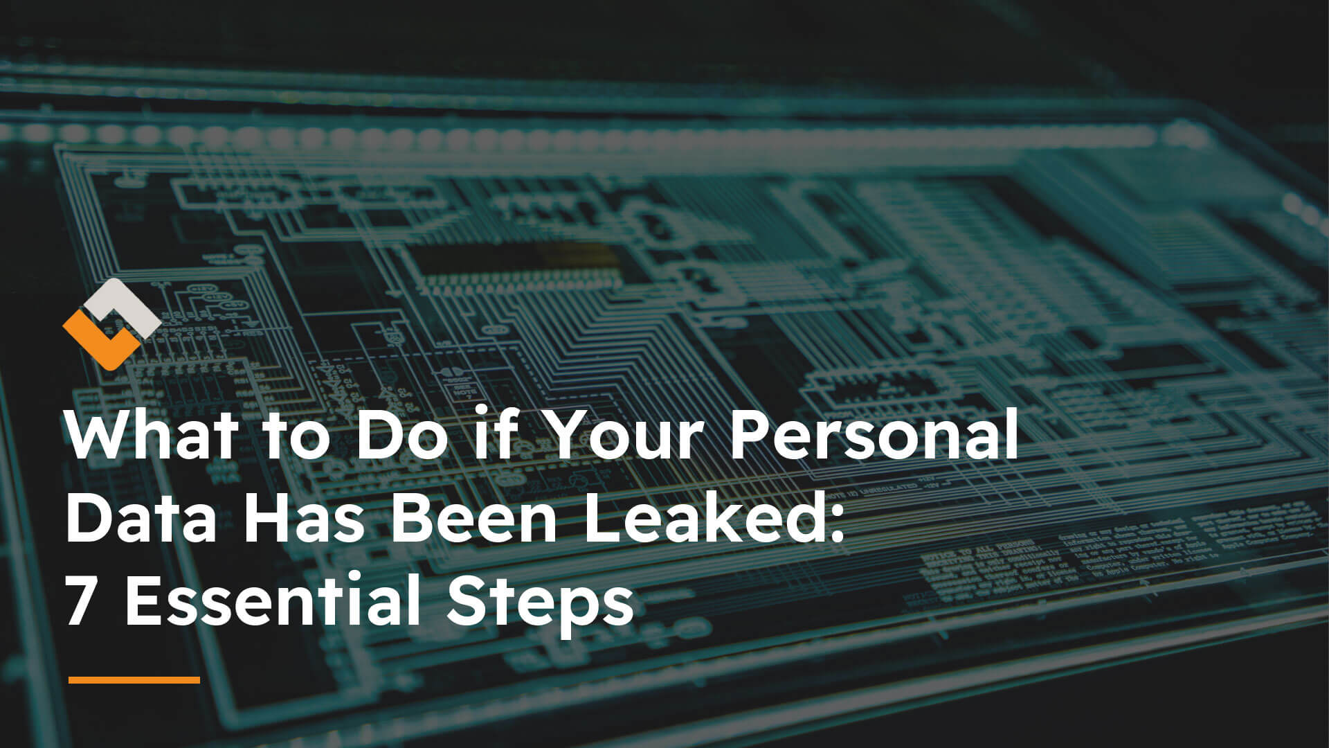 What to do if your personal data has been leaked — 7 essential steps